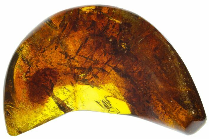 Polished Chiapas Amber ( g) - Mexico #104291